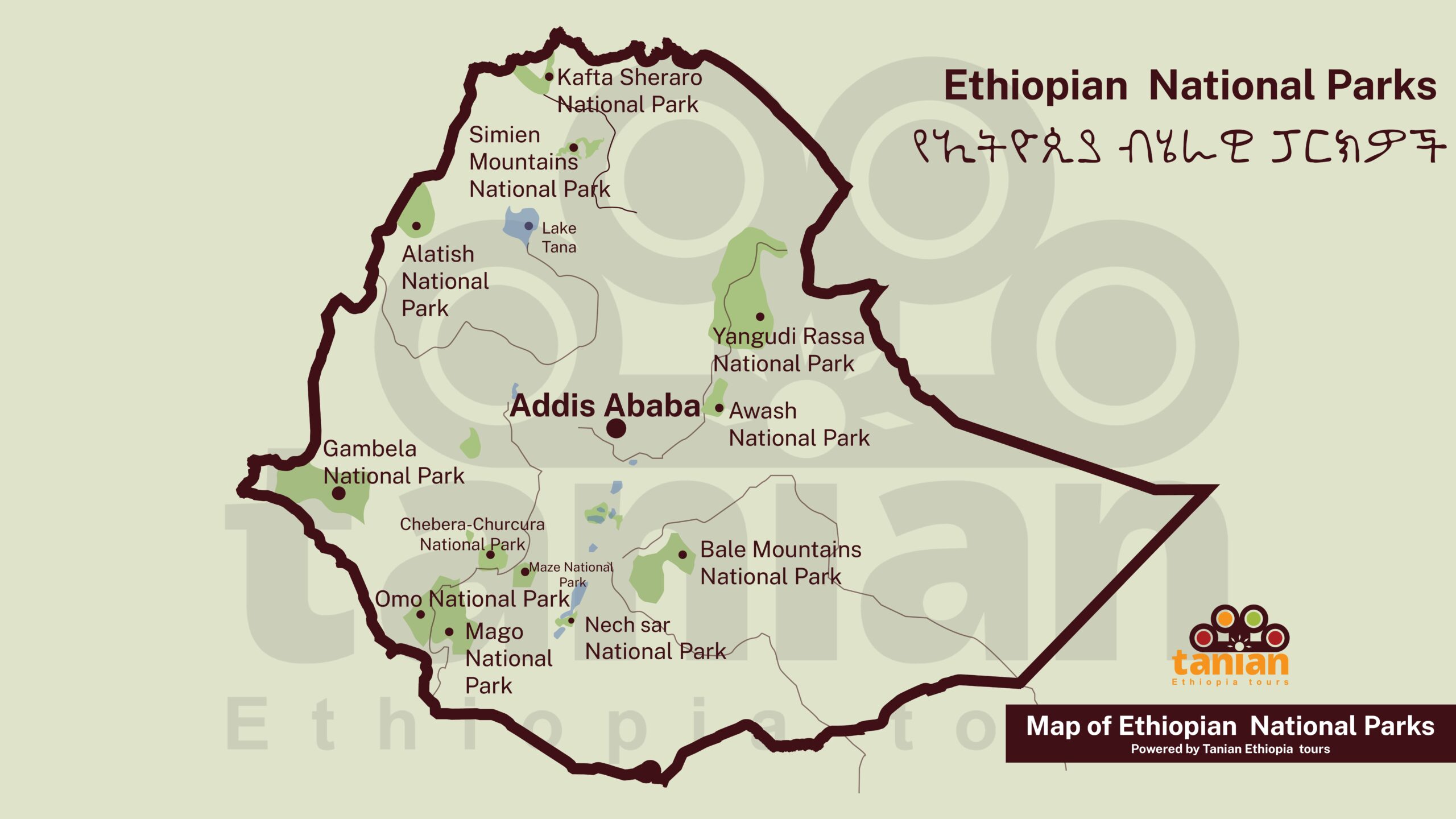 Map displaying the locations of national parks across Ethiopia, showcasing the country's diverse ecosystems and wildlife, presented by Tanian Ethiopia Tours. Plan your wildlife safari.
