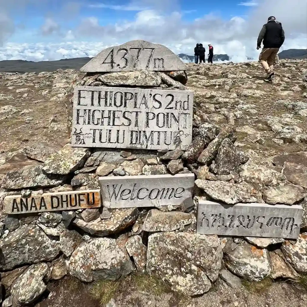 Bale Mountains Tulu Dimitu sign of Summit.