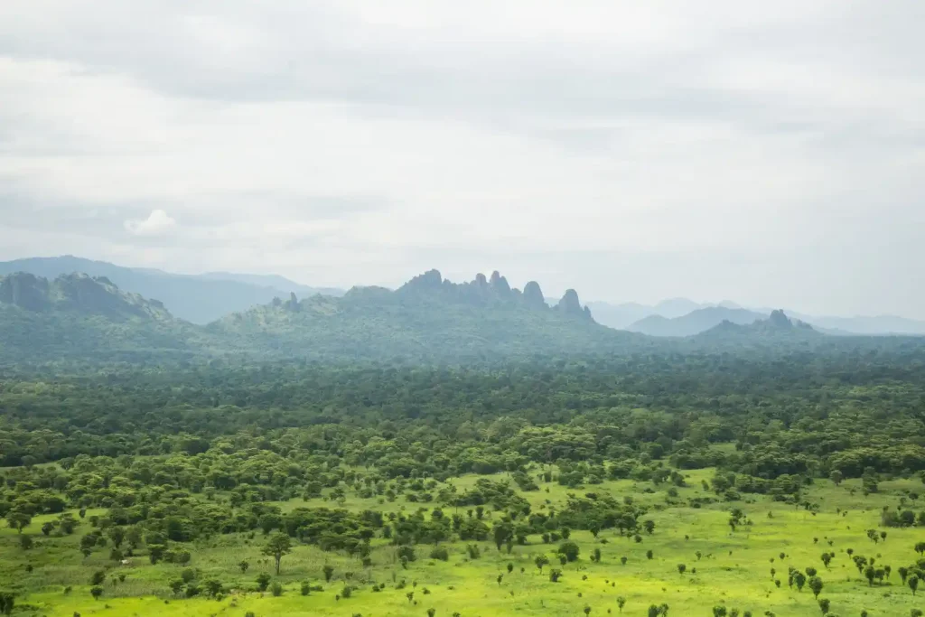 Gambela National Park.