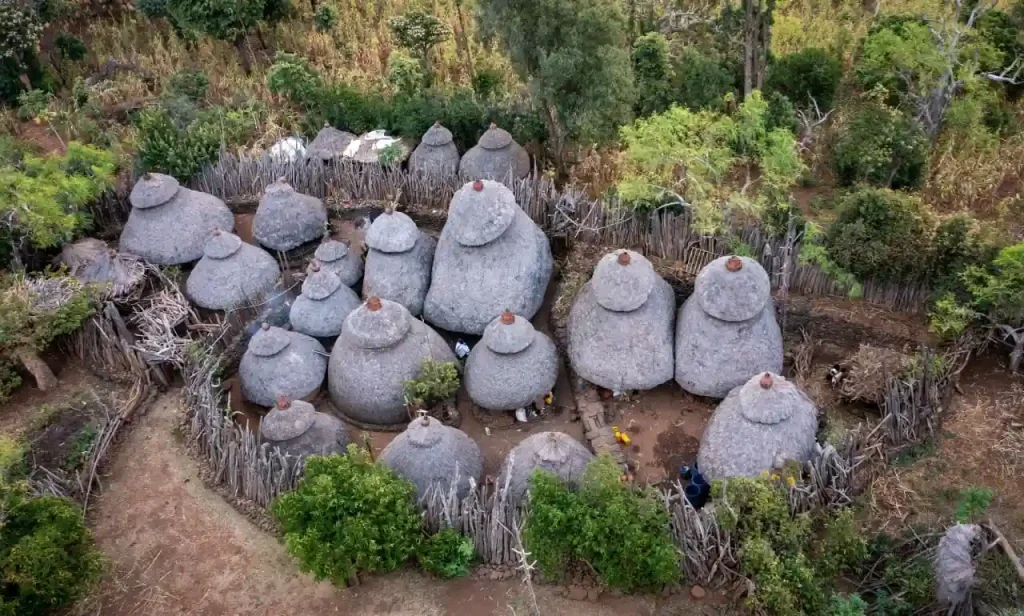 An aerial view of a Konso village in Ethiopia, showcasing numerous traditional granaries with distinctive rounded, stone-like shapes. The granaries are clustered within a circular enclosure defined by a low fence of sticks. The surrounding landscape is lush with trees and vegetation, contrasting with the gray, textured surfaces of the granaries. A few small figures are visible near the granaries, providing a sense of scale.