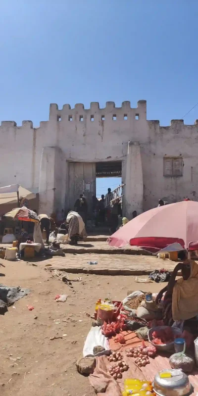 A sunny daytime scene in a marketplace in Harar, Ethiopia. The foreground is filled with market stalls displaying fruits, vegetables, and other goods, sheltered by colorful umbrellas. People are visible browsing and selling. In the background, a white gate or wall with crenellations suggests the architecture of Harar's historic city. This image captures the lively atmosphere of a traditional Harari market.