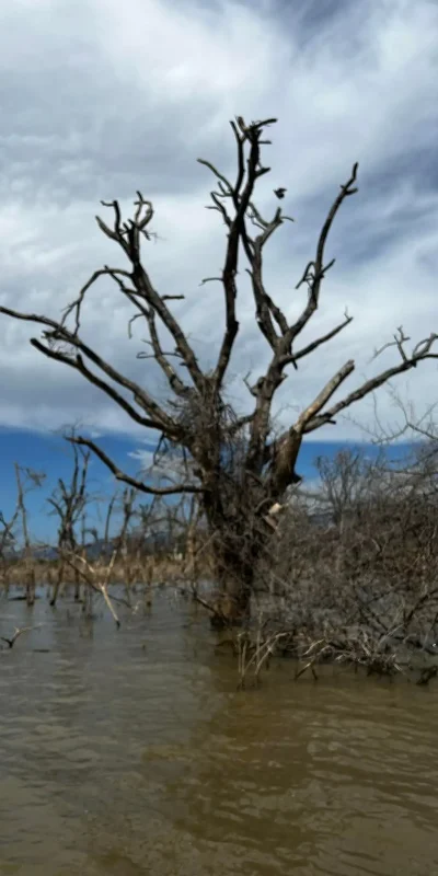 Lake abaya 2